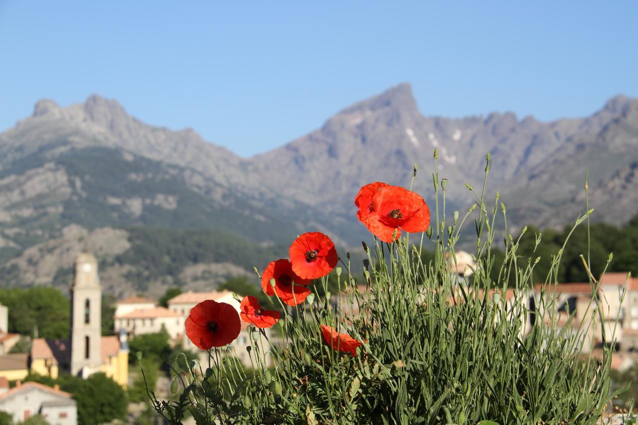 Casa Vanella Bed & Breakfast Casamaccioli Bagian luar foto